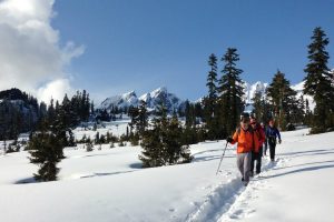 Finding Powder at Mt. Baker