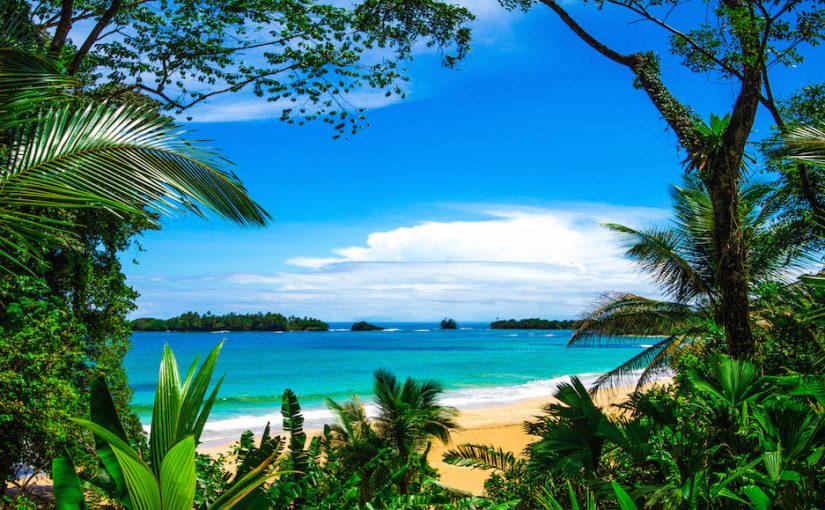 Sustainable Cyber Monday Deals