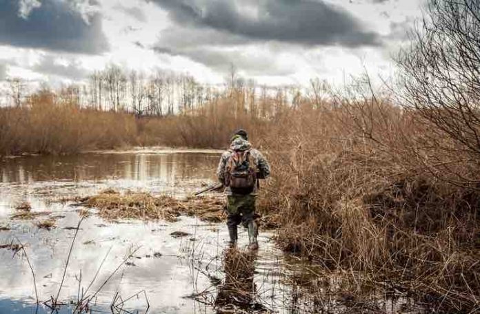 duck hunting