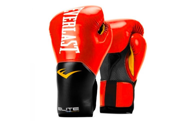 Everlast boxing gloves