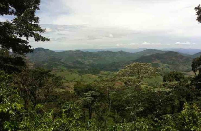 Tour to Nicaragua Coffee