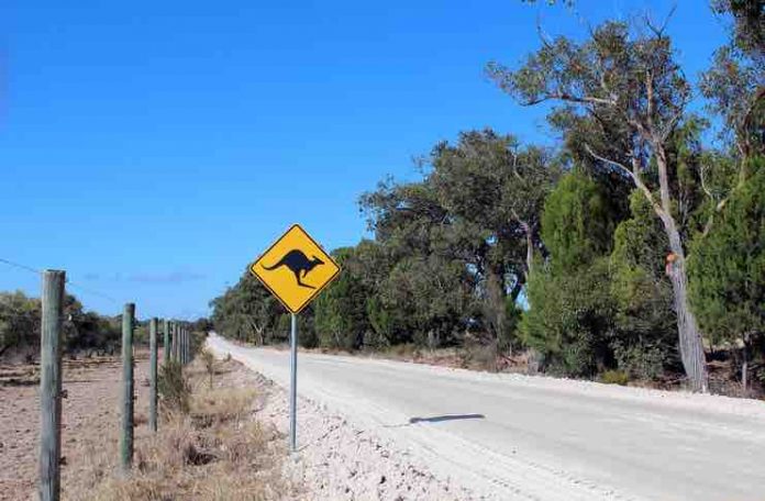 travel tips for australia