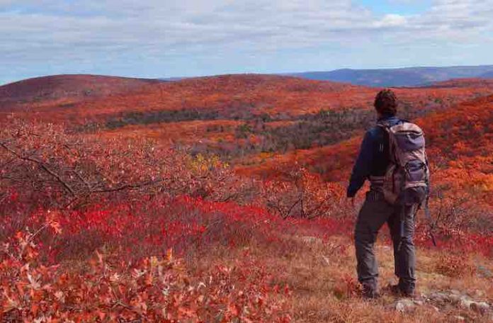 traveling in 2021 upstate new york