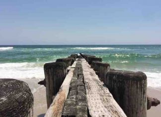 north carolina outerbanks