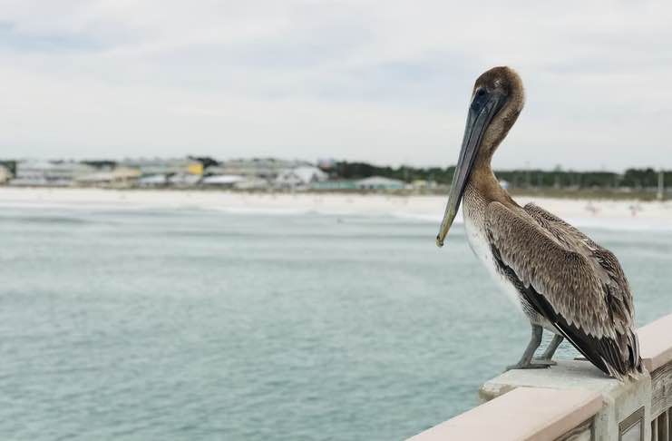 America’s Summer Vacation Hot Spots