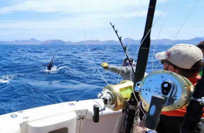 Types of Fishing Reels For The Ultimate Fishing Trip
