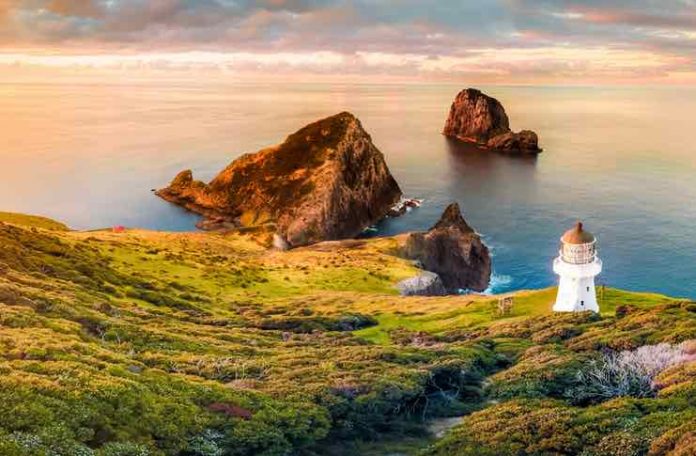 How To Make The Most Of Your New Zealand Road Trip