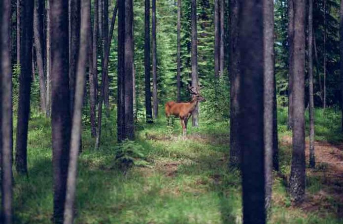 Adventurous Things to Do in North America
