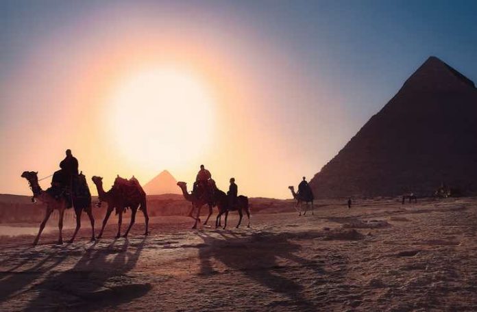 Egypt Tours Portal