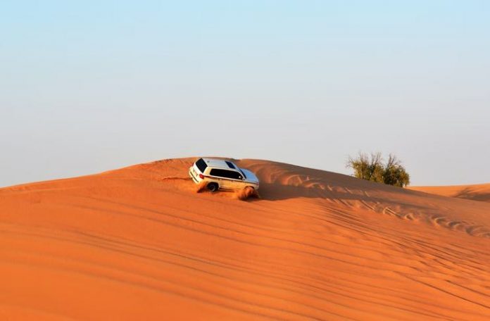 Things to Do in Abu Dhabi with children