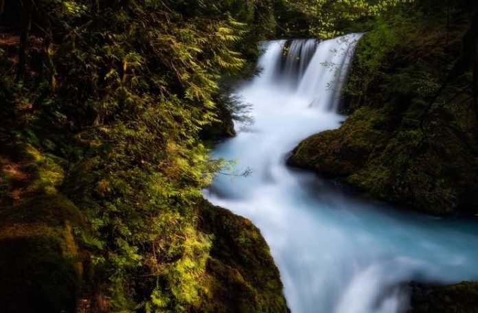 Top Things to See in Oregon this year