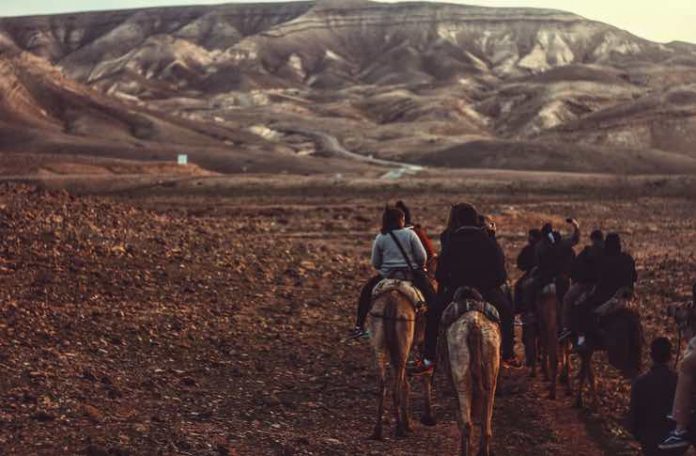 Dubi Tours Tour Guide in Israel