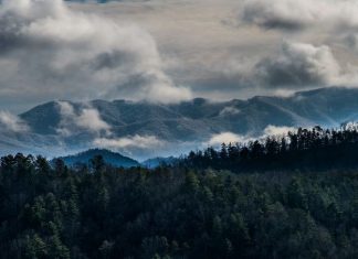 2-Day Itinerary For A Trip To The Smoky Mountains