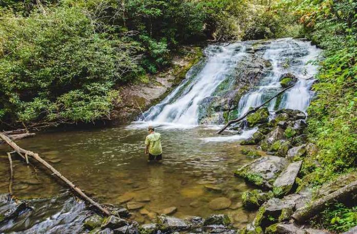 Guide to Fishing in the Great Smoky Mountains National Park