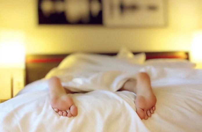 What to Do if You Encounter Bed Bugs While Traveling
