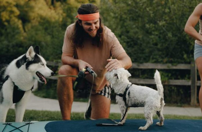 Boosting Oxytocin Levels by Petting a Dog Boosting Oxytocin Levels by Petting a Dog