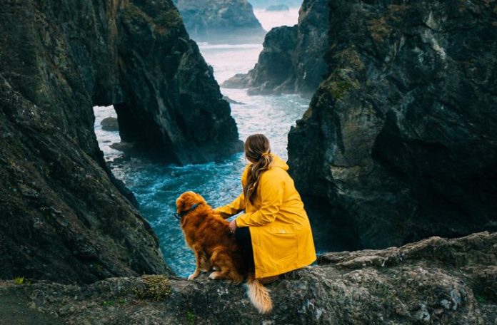 guide to dog-friendly travel- guide to dog-friendly travel-