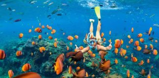 How To Plan Snorkeling Trip