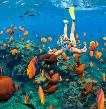 How To Plan Snorkeling Trip