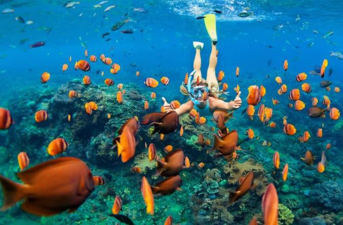 How To Plan Snorkeling Trip