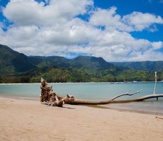 Exploring Hanalei, Hawaii