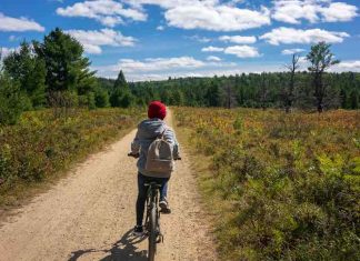 Benefits of Bike Tours