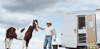 How to Safely Transport Your Horses to Your Next Event