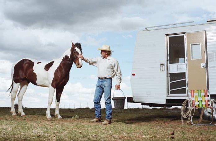 How to Safely Transport Your Horses to Your Next Event