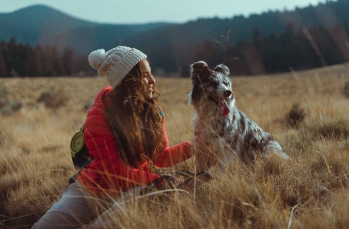Travel with Your Dog Travel with Your Dog