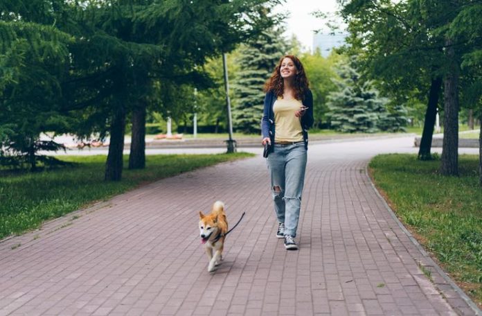 Things To Do in Pet-Friendly Saltwater