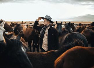 Best Place to See Wild Horses in Colorado