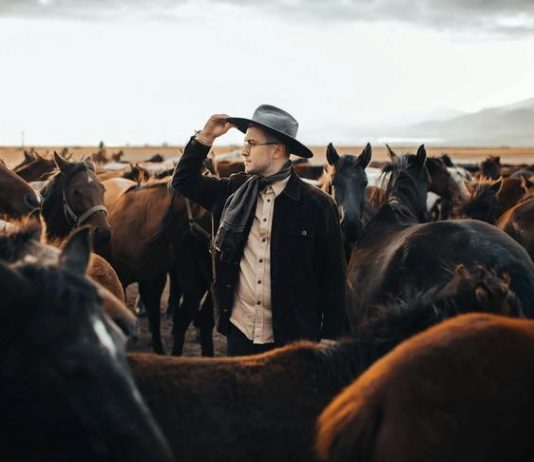 Best Place to See Wild Horses in Colorado