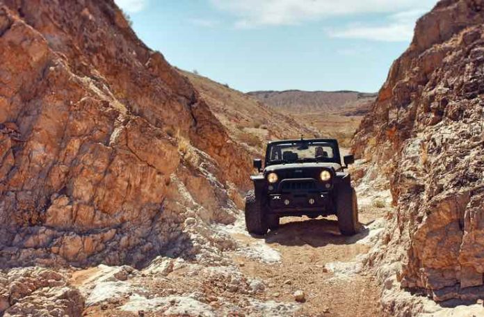 Nevada Road Trip Adventures