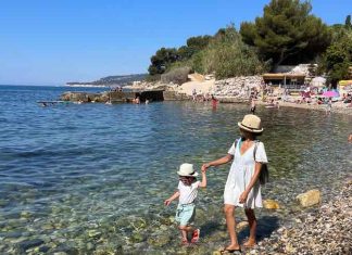cassis guide