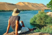 Birdwatching on the Nile
