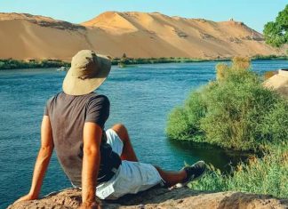 Birdwatching on the Nile