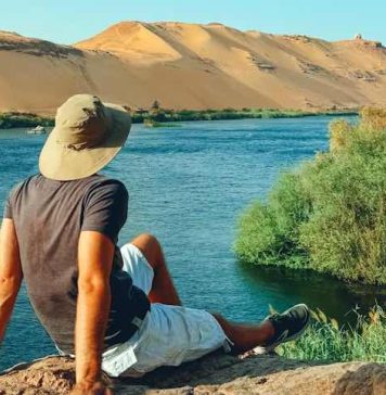 Birdwatching on the Nile