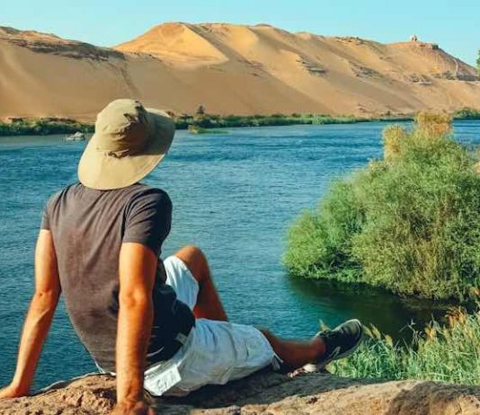 Birdwatching on the Nile